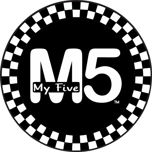 My Five Vibes Logo